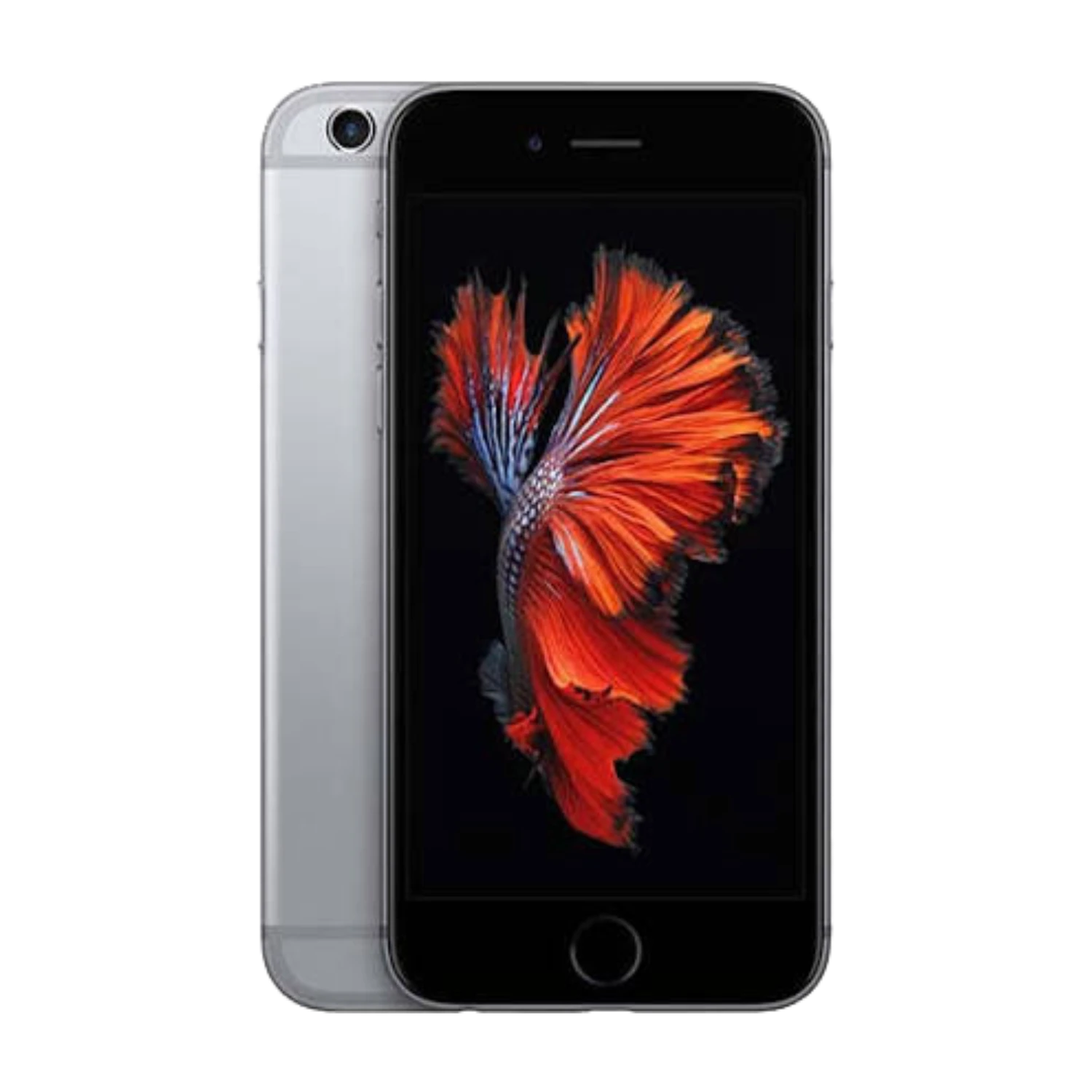 iPhone 6
