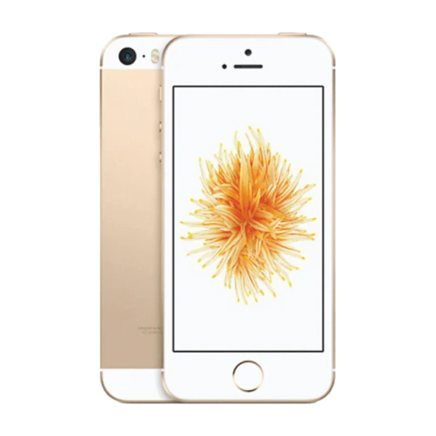 iPhone SE (1st generation)